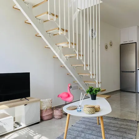 Pink Flamingo 1-br In Apartment